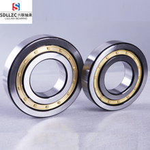 Single row cylindrical roller bearing Manufacturing Plant N319M