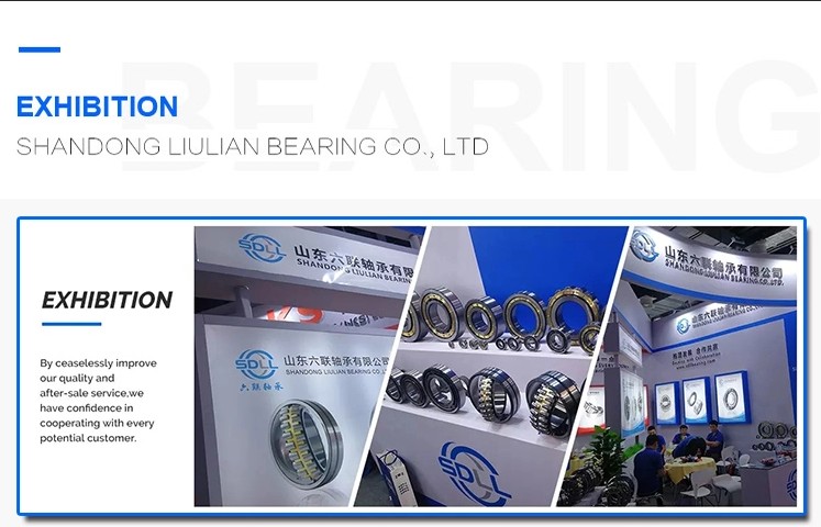 sdllzc bearing exhibition 